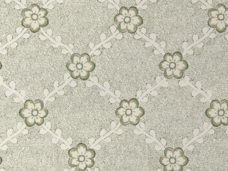 Lucia  Grasscloth Wallpaper by Nathan Turner - Green Discount