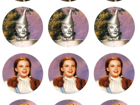 Wizard of Oz Scarecrow Tin Man Dorothy Cowardly Lion Edible Cupcake Topper Images ABPID14851 Discount