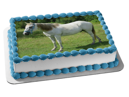 Animals Horses White Horse Trees Edible Cake Topper Image ABPID22135 Online Sale