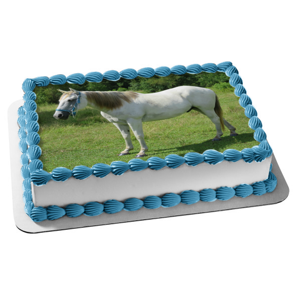 Animals Horses White Horse Trees Edible Cake Topper Image ABPID22135 Online Sale