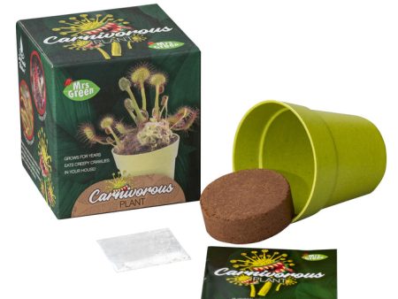 Mrs. Green Grow Your Own Carnivorous Plant Online