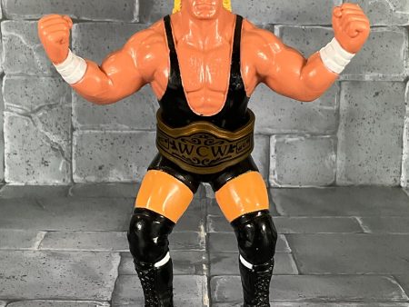 Galoob Wrestlers WCW Sid Vicious Supply