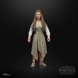 Star Wars The Black Series Princess Leia (Ewok Village) Hot on Sale