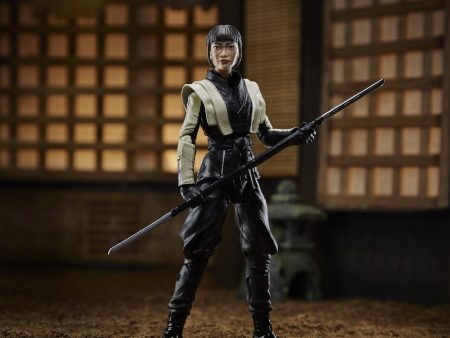 G.I. Joe Classified Series Akiko Action Figure Online now