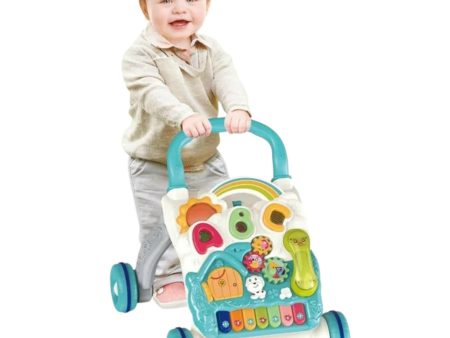 Baby Walker With Happy Enlightenment Interaction  Blue Cheap